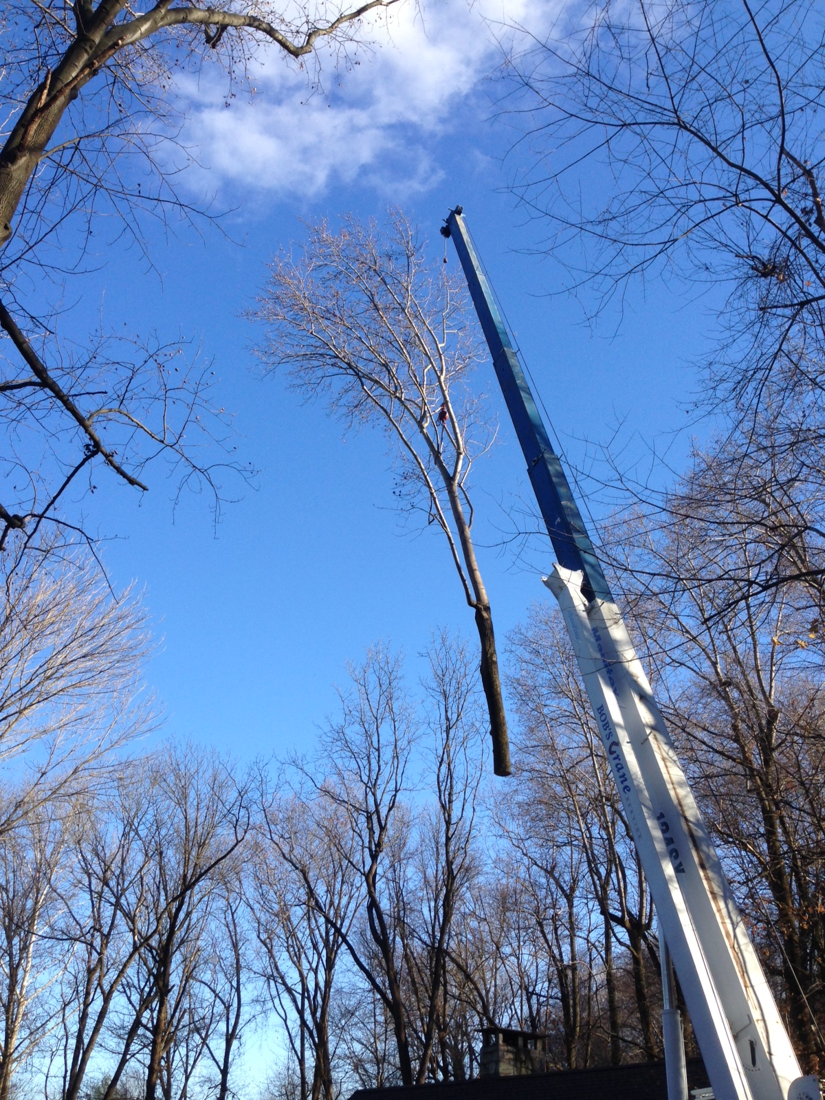 Crane & Bucket Truck Services