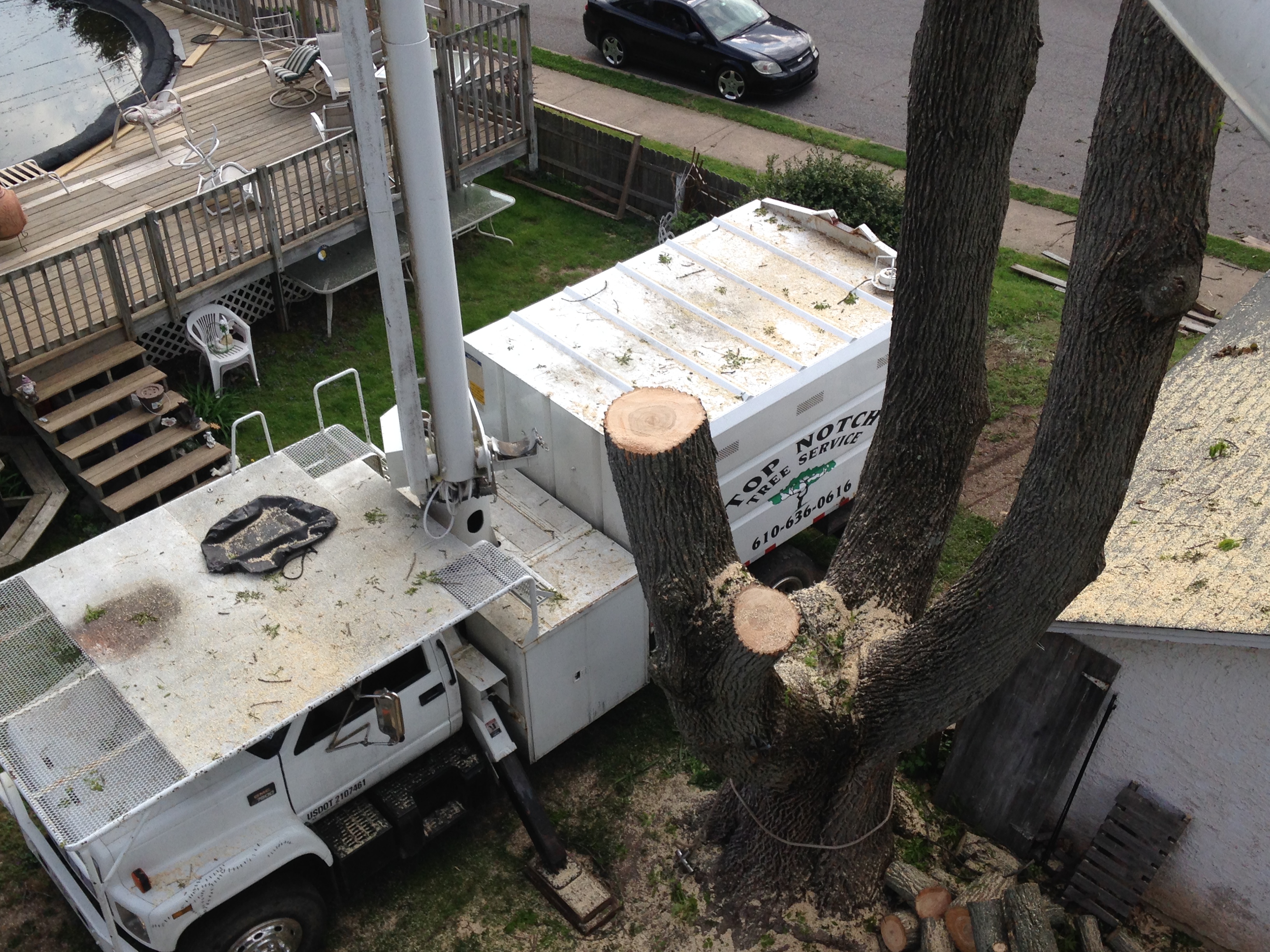  Tree Removal Services