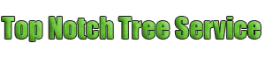 Chester County Tree Services