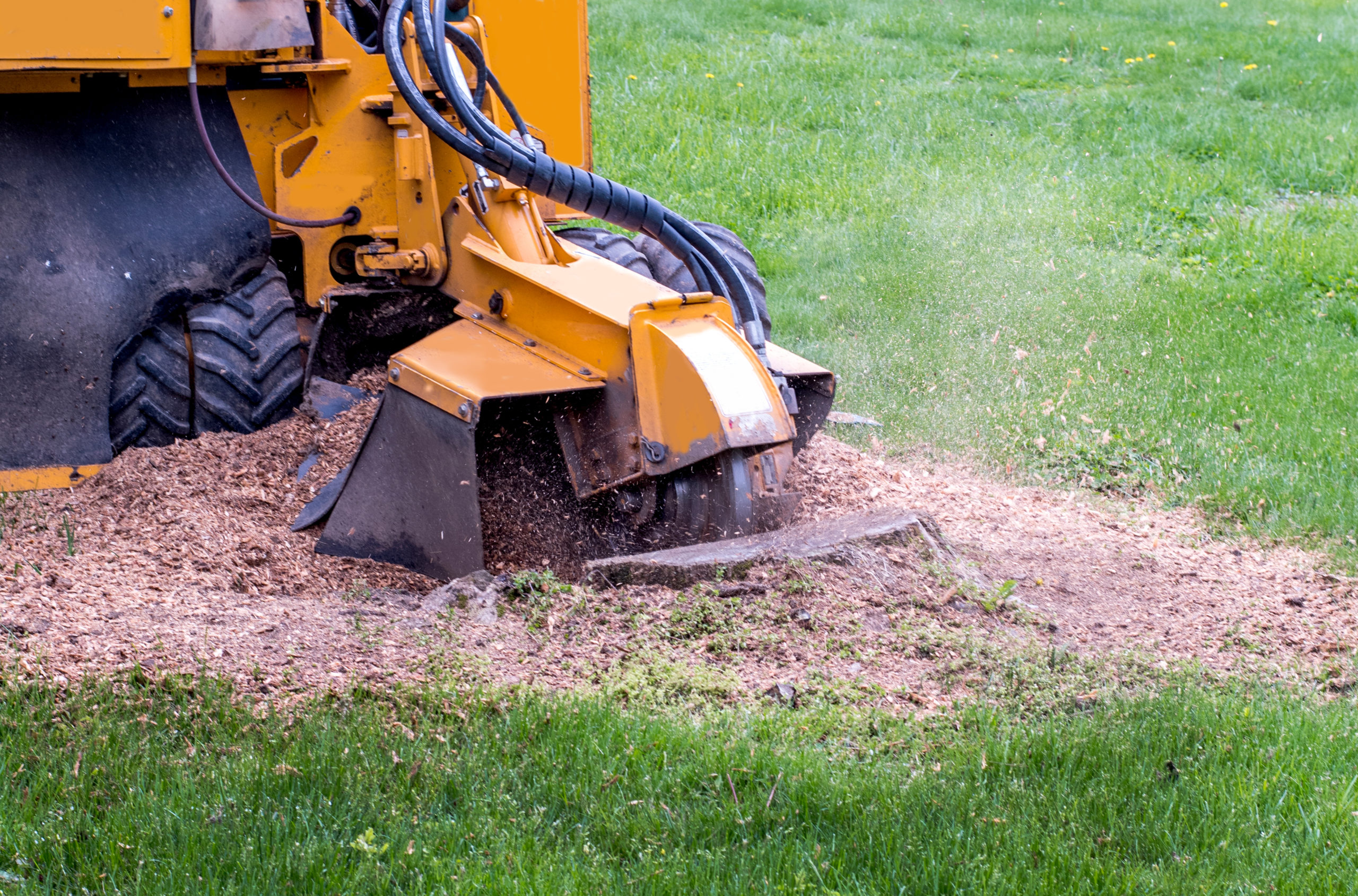 Chester County, PA Stump Removal Services