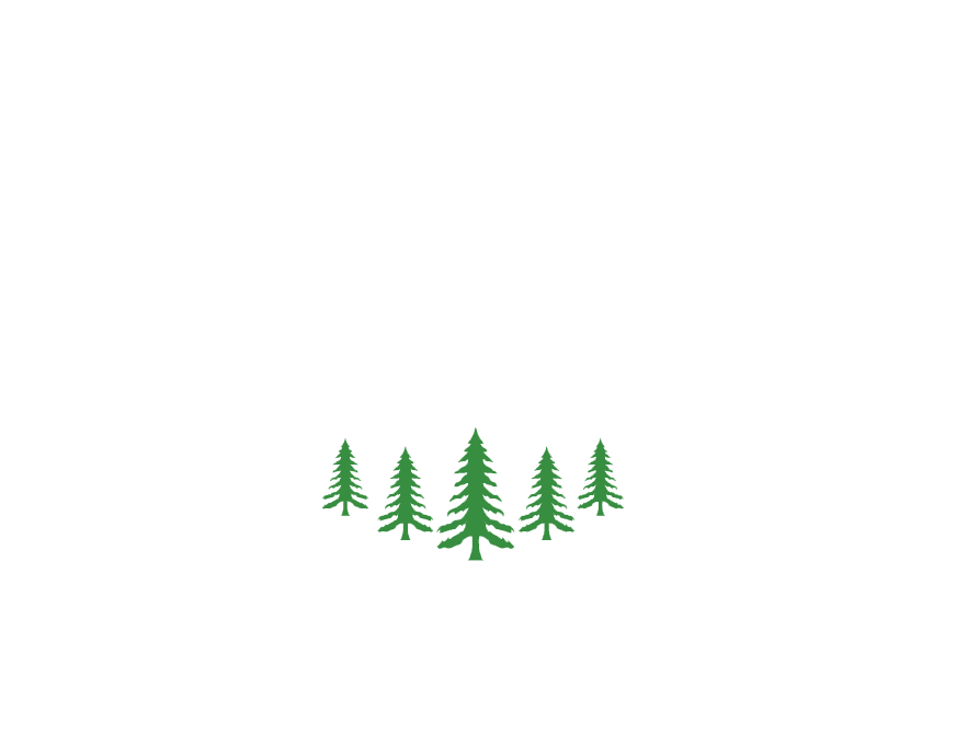 Your Go To for Great Tree Care in Chester County